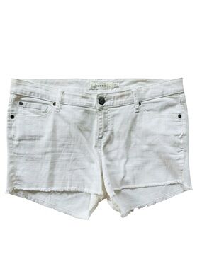 Torrid shorts